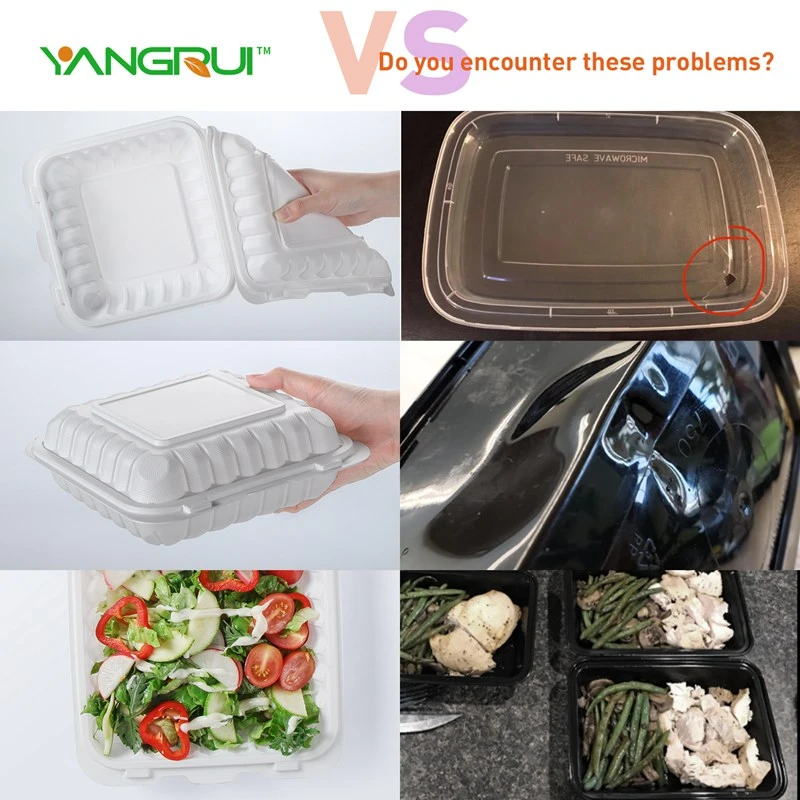 product-800-800 product-800-800