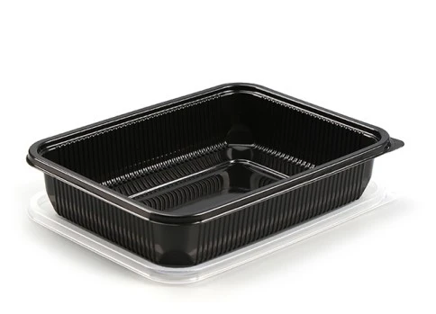 2 Big Capacity Leakproof take away food box Big Capacity Leakproof take away food box