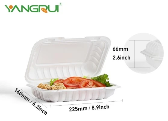 00001221 9x6 inch MFPP take out box