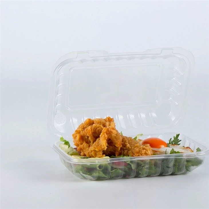 9x6 Transparent Clamshell Takeout Box