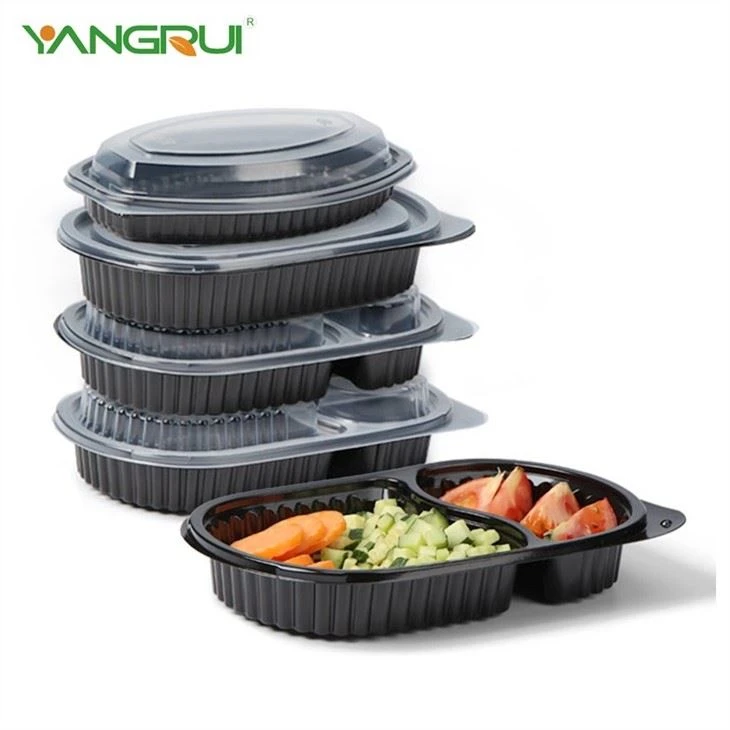 Lunch Bento Box