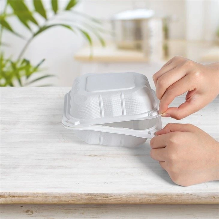 Take Out Food Box