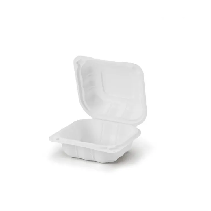 Cynhwysyddion Bwyd tafladwy Plastig