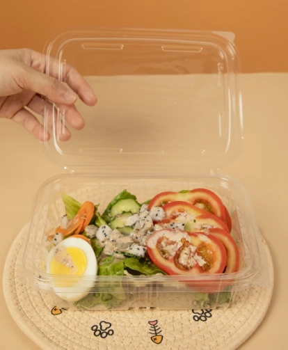 Bowlio Salad Plastig petryal
