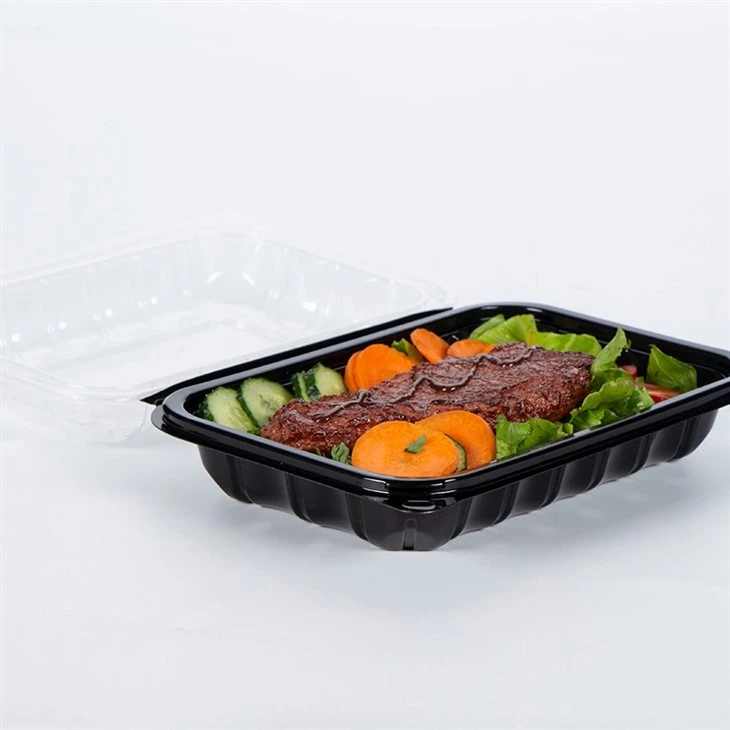PP Plastic Food Boxes