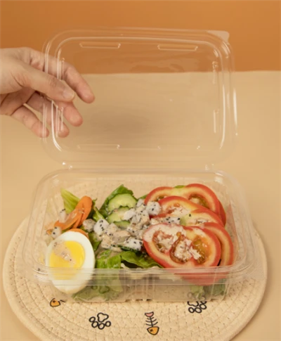 Bowlio Salad Plastig petryal
