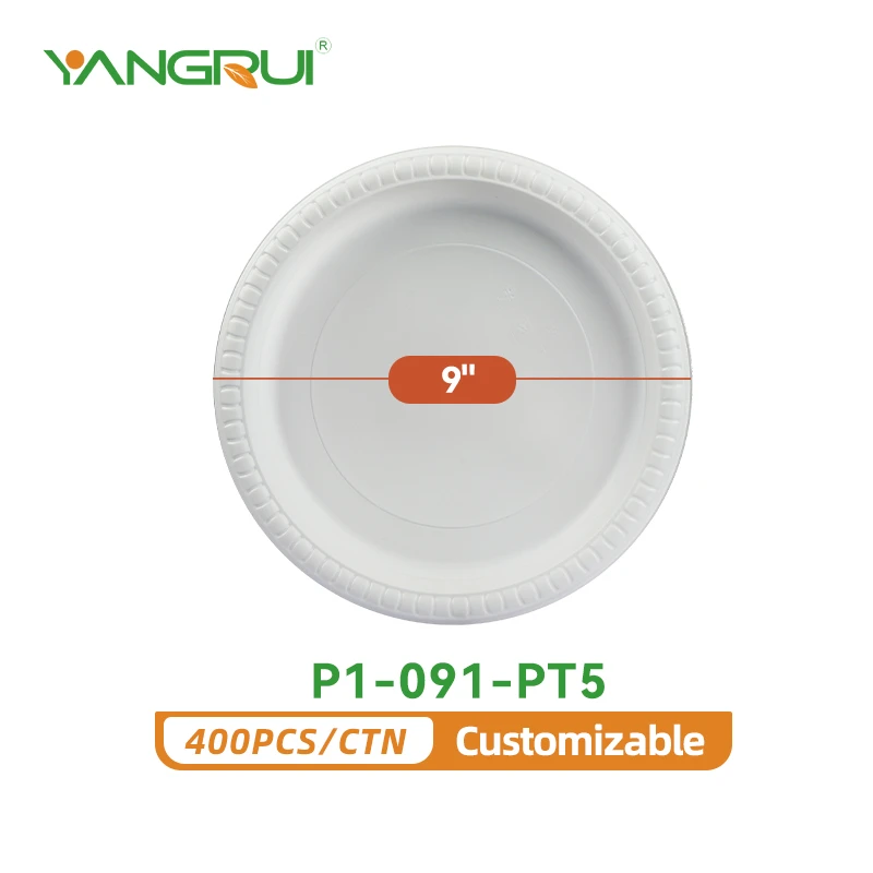 P1-091-PT5