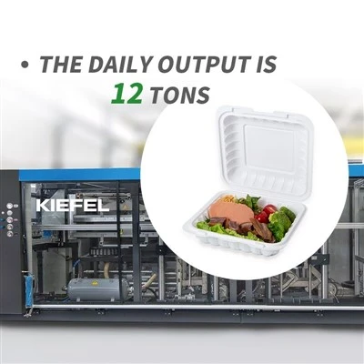 To-go Boxes Bulk To-go Boxes Bulk